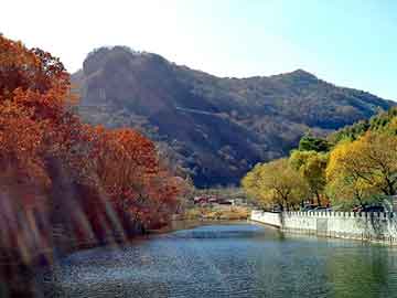 新澳天天开奖资料大全旅游团，血舞狂龙